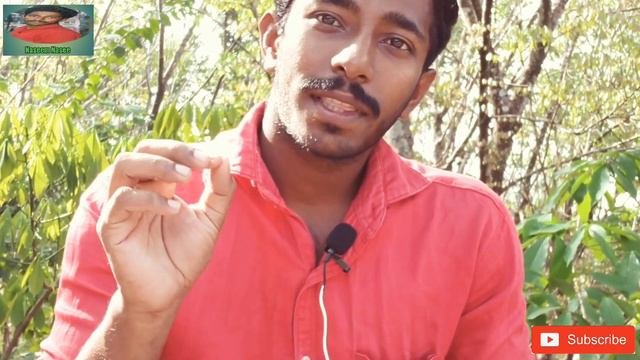 Personality Test! ഈ ചിത്രങ്ങളിൽ കാണുന്നത് എന്താണെന്ന് പറഞ്ഞാൽ നിങ്ങളുടെ സ്വഭാവം മനസ്സിലാക്കാം
