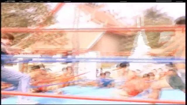 King Of The Kickboxers (1990) Review