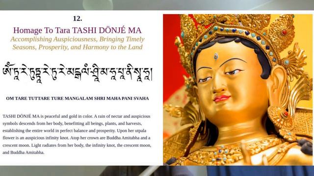 Improvisations in praise of The 21 Taras