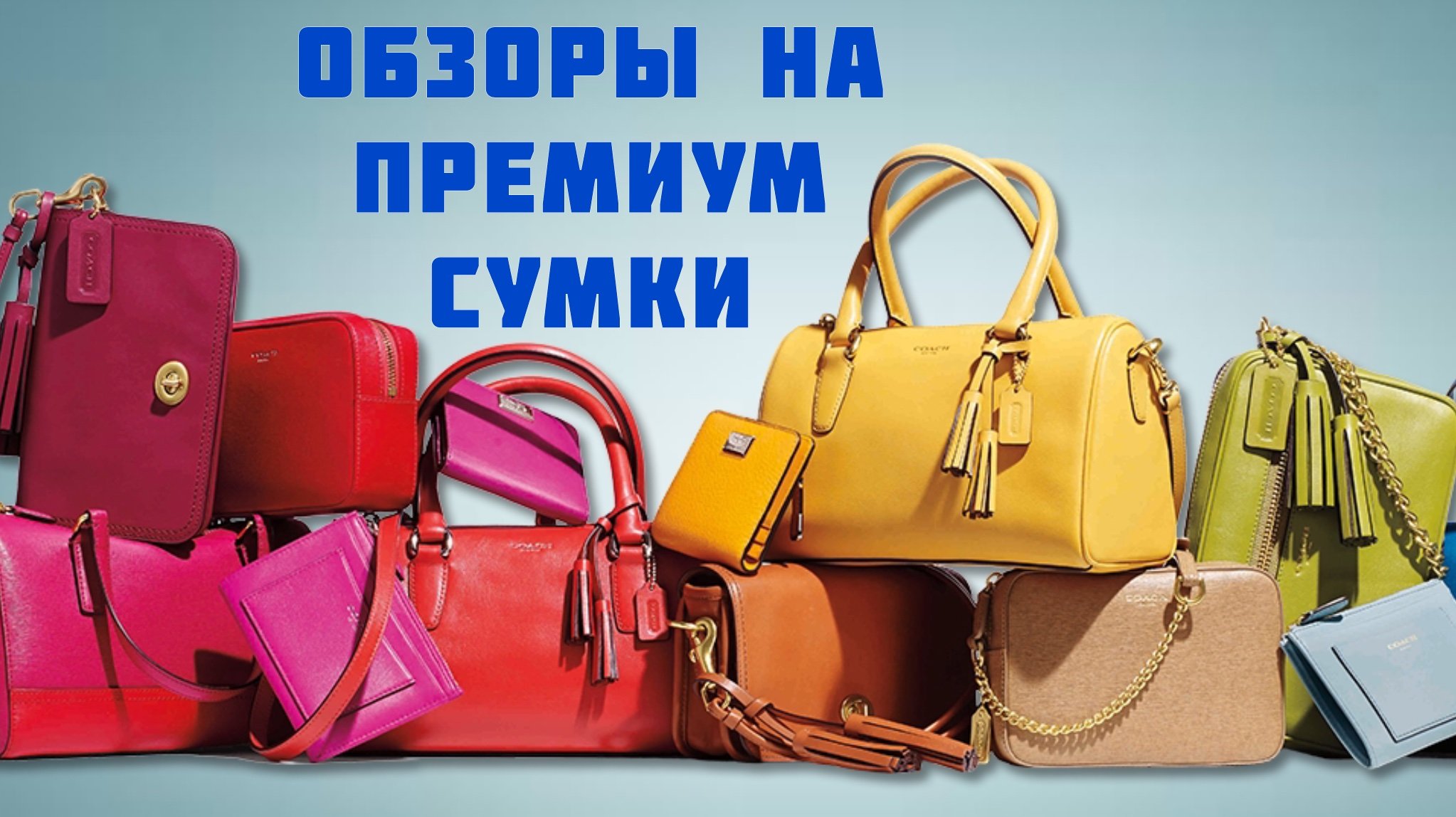 Обзор сумки Louis Vuitton