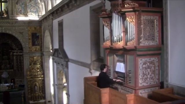Sonata de Octavo Tono (anônimo) - Arp Schnitger Organ