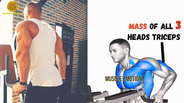 15 BEST TRICEPS WORKOUT AT GYM / Les meilleurs exercises musculation triceps