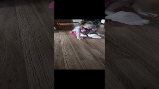 кролик ?