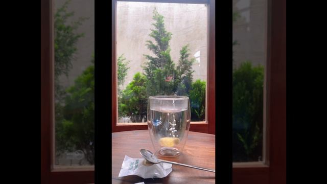 Trà Đình Viên - Trà viên thảo mộc xứ Huế