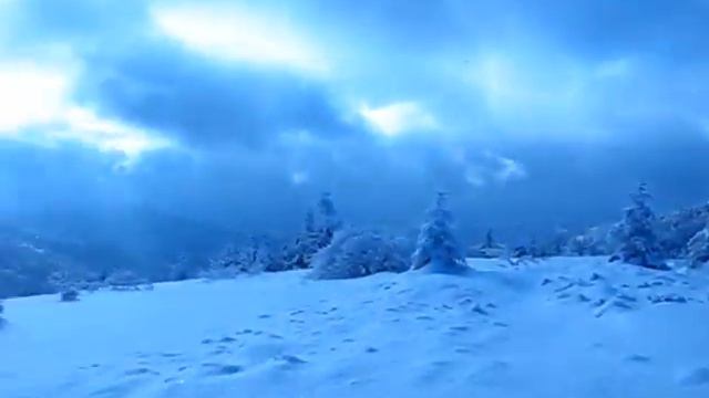 Олександр Тараник. тост