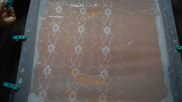 Пастила из абрикосов или домашний мармелад: как готовить и хранить правильно