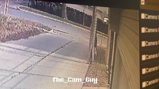 Dude is peeing in the alley at broad daylight.