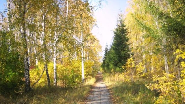 Красивые осенние пейзажи