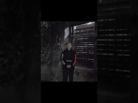 Страшные истории