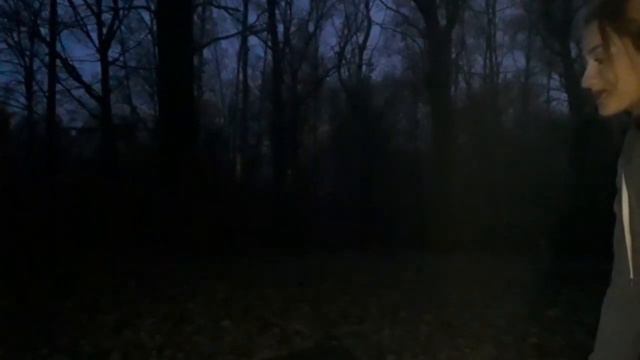 04.11.2020, ИЭ-01-19, Герц Светлана, пресс, 29 раз.