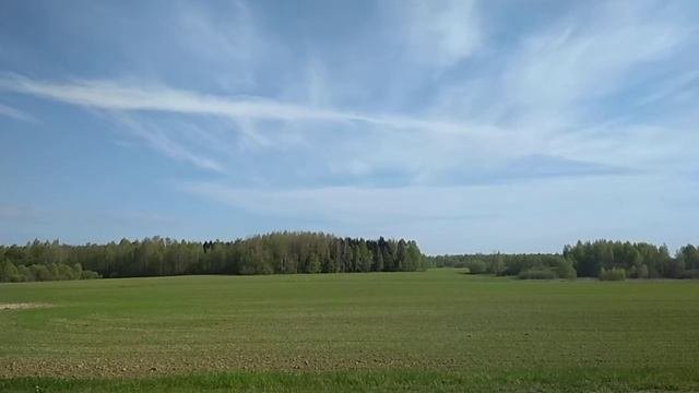 Крик журавлей весной. Песня журавлей.
