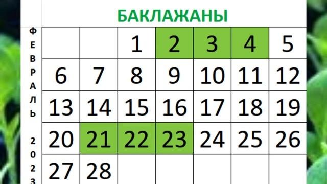 Лунный посевной календарь на Февраль2023 shorts shorts календарь 2023 февраль  лунный
