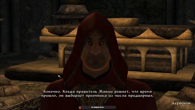 Решаю все вопросы по стелсу (нет) | The Elder Scrolls IV: Oblivion #15