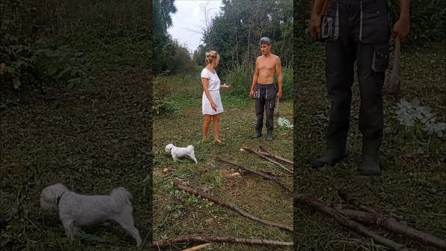 Папа уезжает, раздаёт ЦУ, дела житейские в глухой деревне