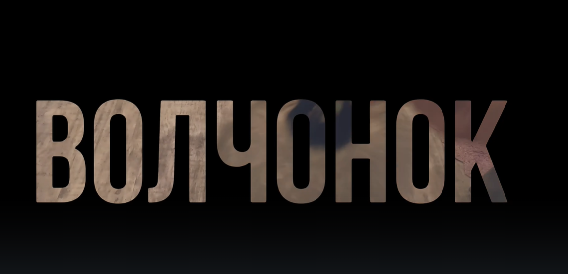 ВОЛЧОНОК ?