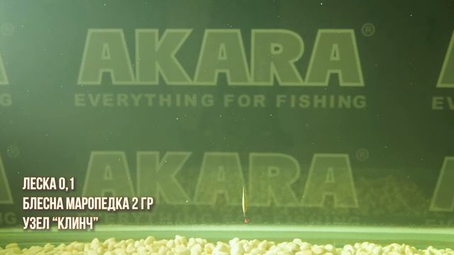 Влияние толщины лески на игру зимних блесен.