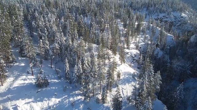 Winter Scenery With Relaxing Piano Music, Sleeping and Relaxing #deepsleep #calming #snow #pinetree