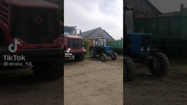 света Лена вика.mp4