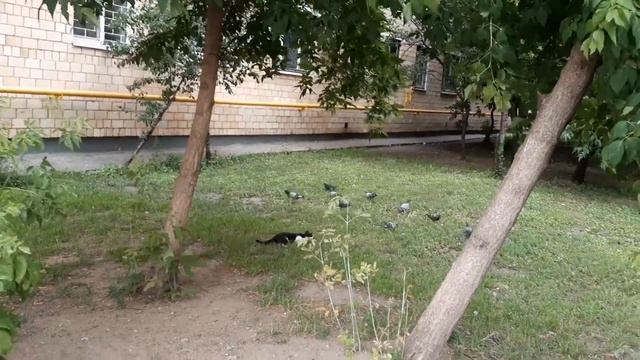 Первая охота
