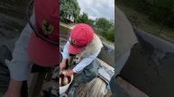 Лйфхак, хитрости чистки карася