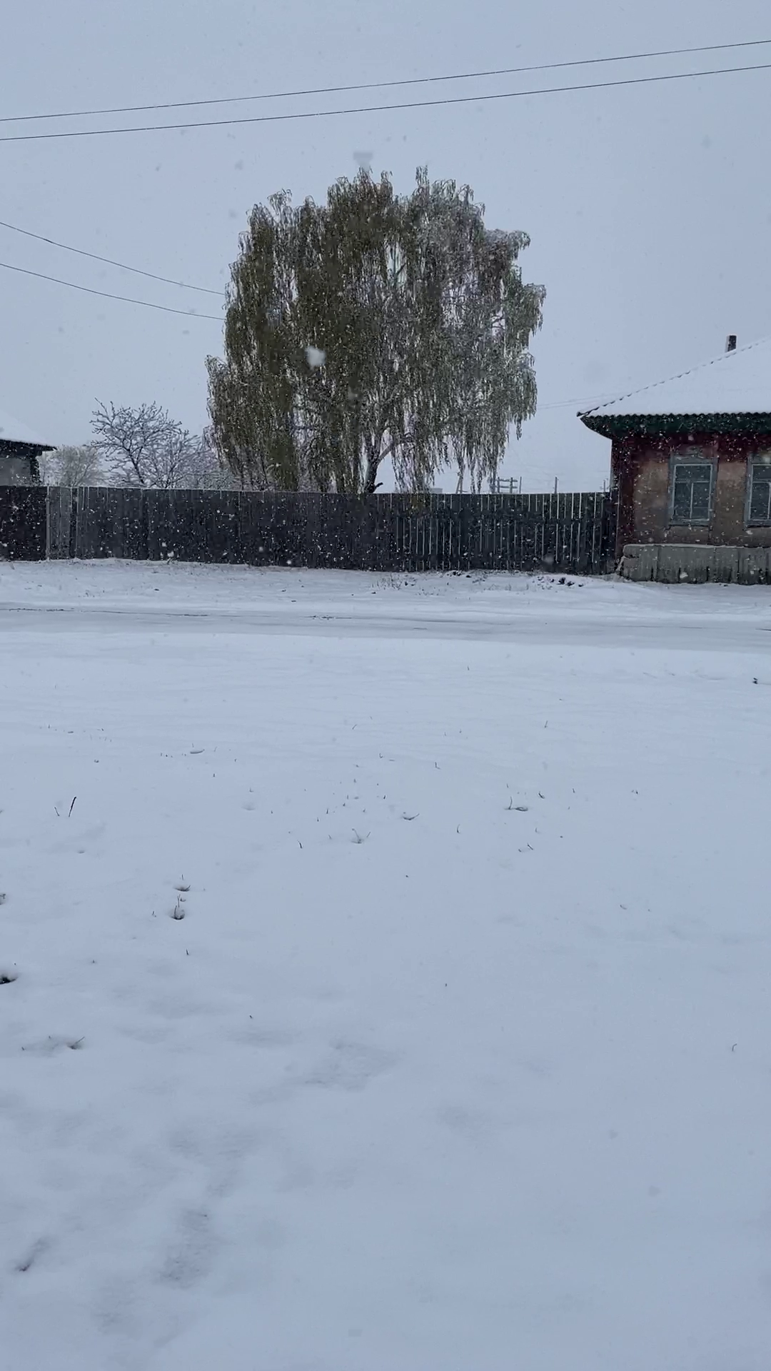 На Урале выпал снег