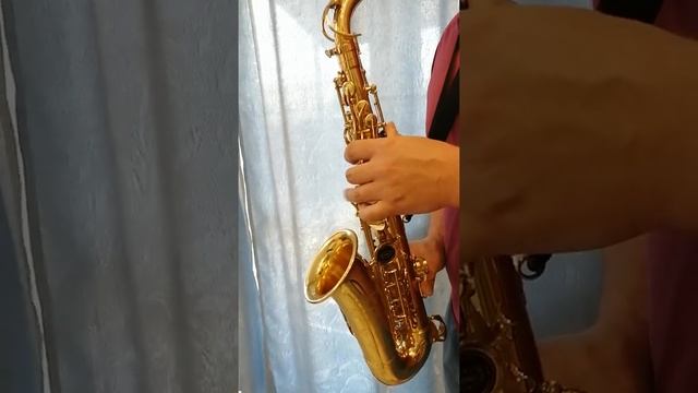 Vibra MC 520