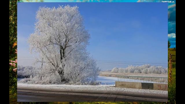 Видео экскурсия    «Уголки родного села»