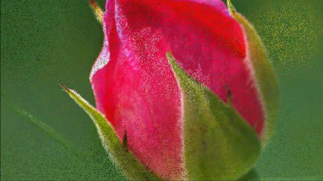 🌷 Для милой подруги! 💐