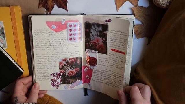 personal diary  мой ЛД 15 полный обзор