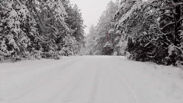 дорога, лес, зима