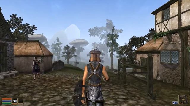 Let's play Morrowind (P05) - Your average middle ages love story