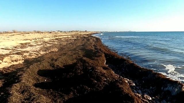 Крым 2022. Морозы в Крыму Коды возвращаются 20 января. Капитан Крым