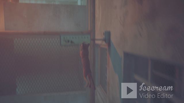 Играю в Stray часть 1.