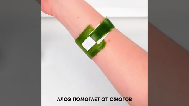 25 ПОЛЕЗНЫХ ЛАЙФХАКОВ НА ВСЕ СЛУЧАИ ЖИЗНИ