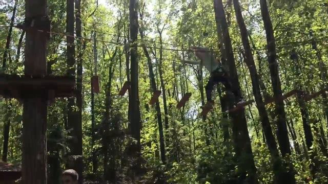 Кошечка в саду идёт в веревочный парк Гамми