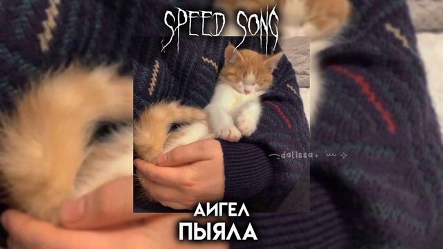 АИГЕЛ- пыяла || speed song part 1