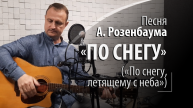 По снегу - А. Розенбаум - По снегу, летящему с неба