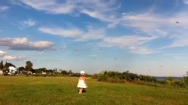 Ларочка и стрекозы