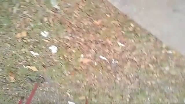 .S.N.F.: Romance Romantick Novol