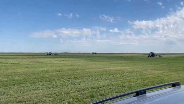 Заготовка сенажа. Крестьянское хозяйство "Шанс" Абайский район, Карагандинская область