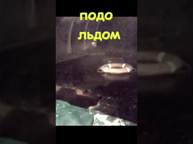 Проплыл подо льдом. Баня. Бассейн.