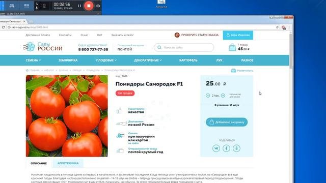 выбираем семена томатов для теплиц