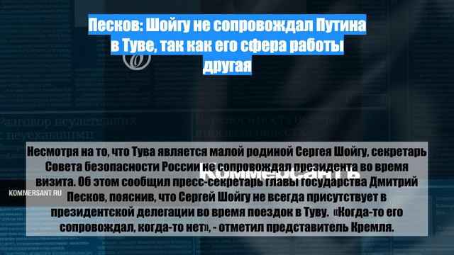 Песков: Шойгу не сопровождал Путина в Туве, так как его сфера работы другая