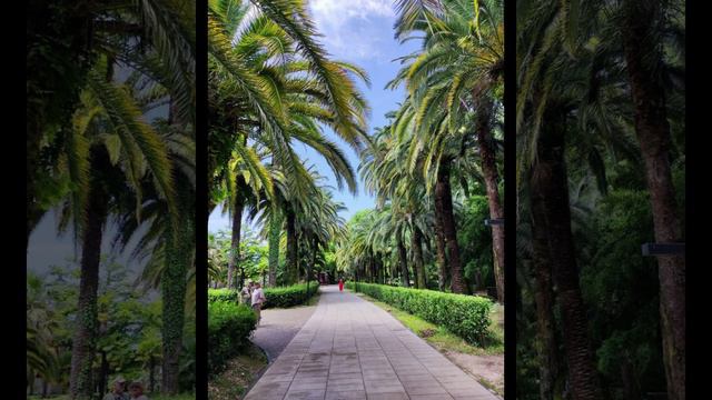 Абхазия, Приморский парк принца Ольденбургского в Гагре СЕГОДНЯ (конец июля, ЛЕТО-2024)