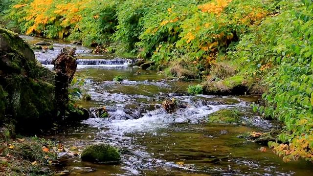 Footage autumn in Bad Herrenalb, Germany 2020. Music of Anton Peys