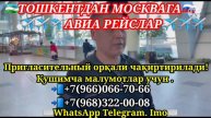 #срочно #самолёт #чартер #рейс ТАШКЕНТ - МОСКВА АВИАРЕЙСЫ, АВИАБИЛЕТЫ. ✈✈✈ чартер с нами надёжно.