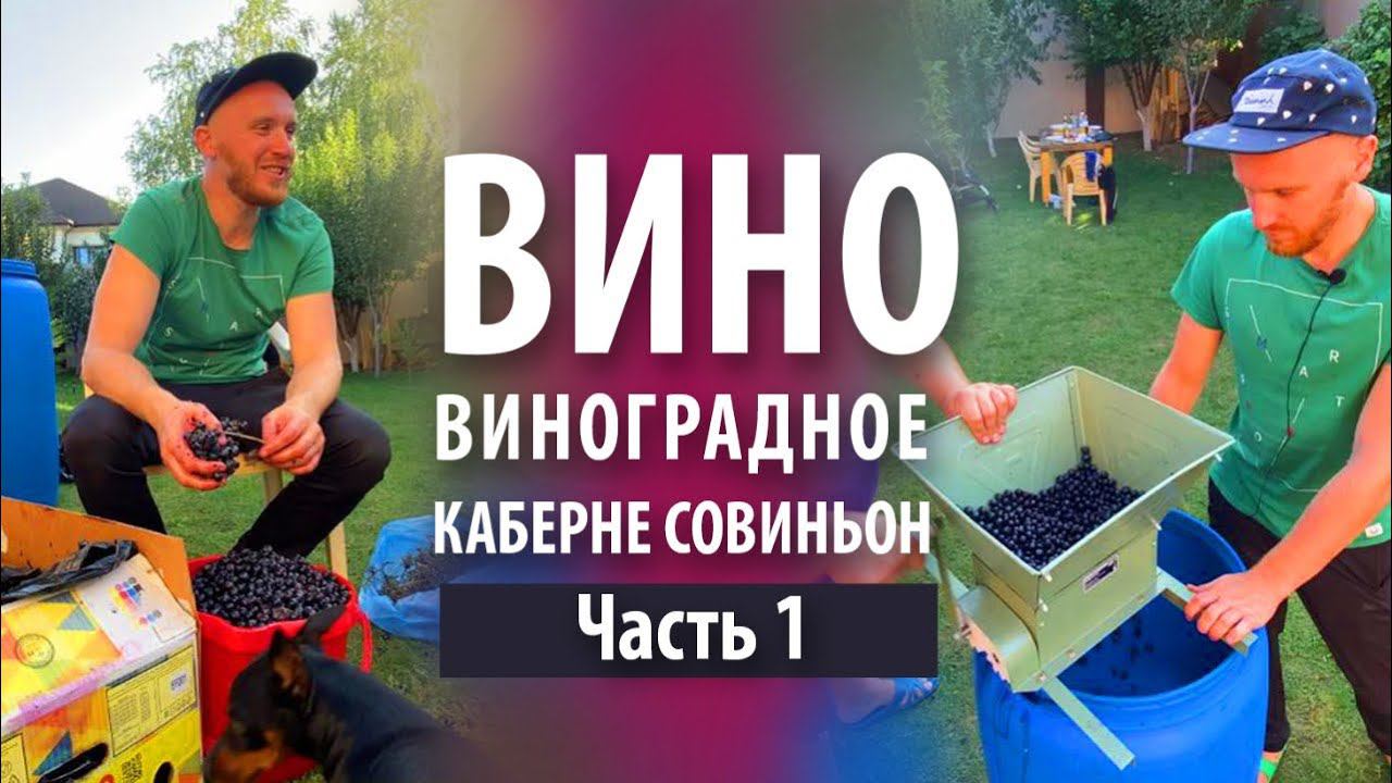 Вино из винограда Каберне Совиньон в домашних условиях  Часть 1