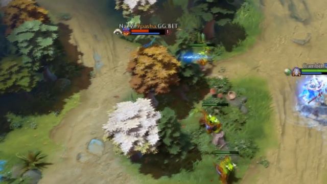 Na'Vi УСТРОИЛИ КЛОУНАДУ НА КВАЛАХ