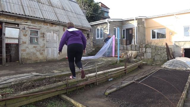 Выращивание ялтинского лука из семян.  Вода Крым. Семена ялтинского лука. Подснежники в Крыму.