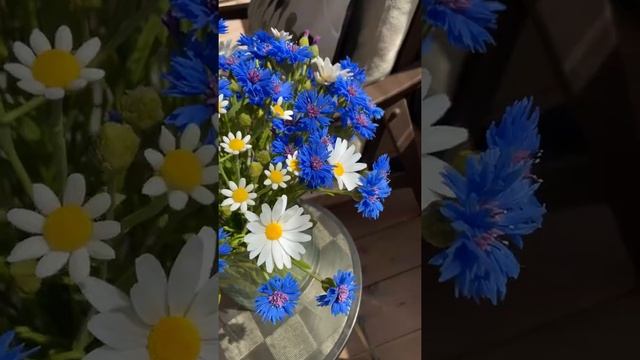 Васильки и ромашки. Скульптура из холодного фарфора
